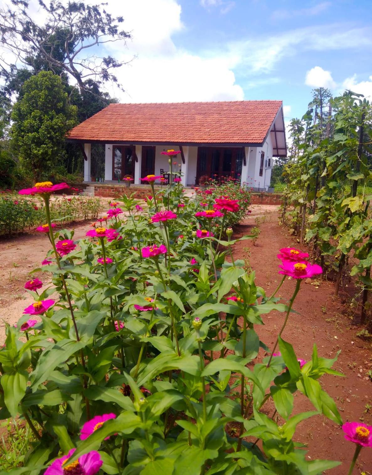 Moni Farm House Wilpattu Nochchiyagama Exterior photo