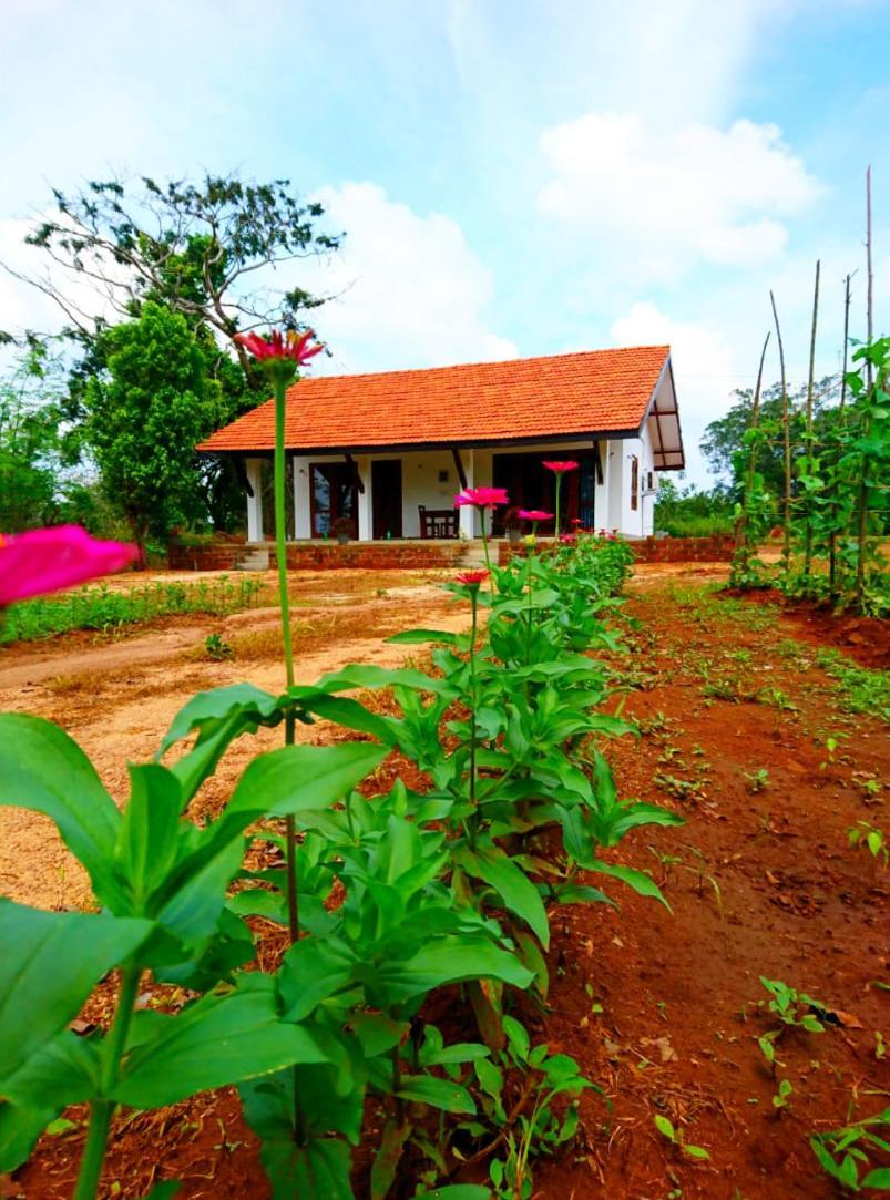 Moni Farm House Wilpattu Nochchiyagama Exterior photo