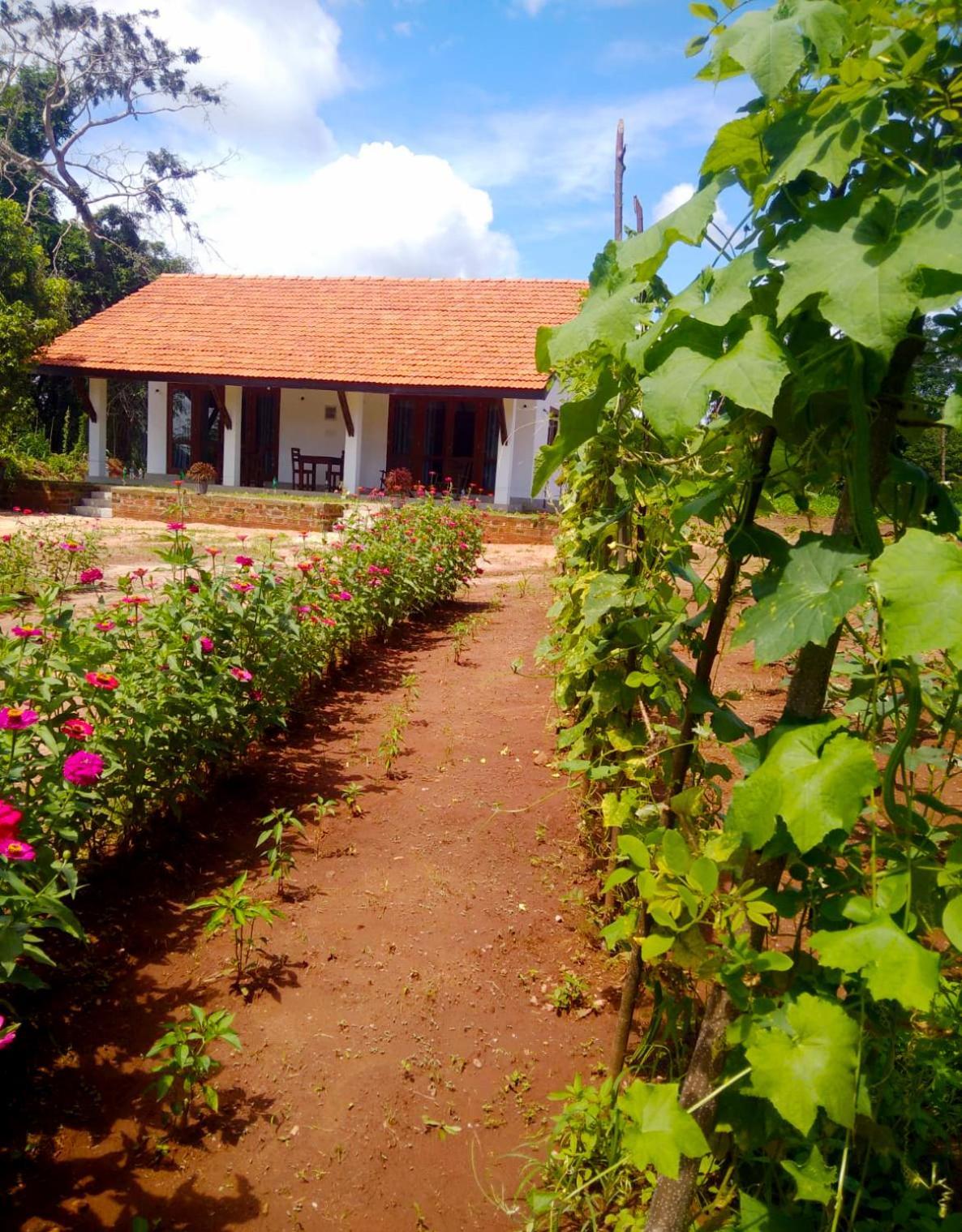 Moni Farm House Wilpattu Nochchiyagama Exterior photo