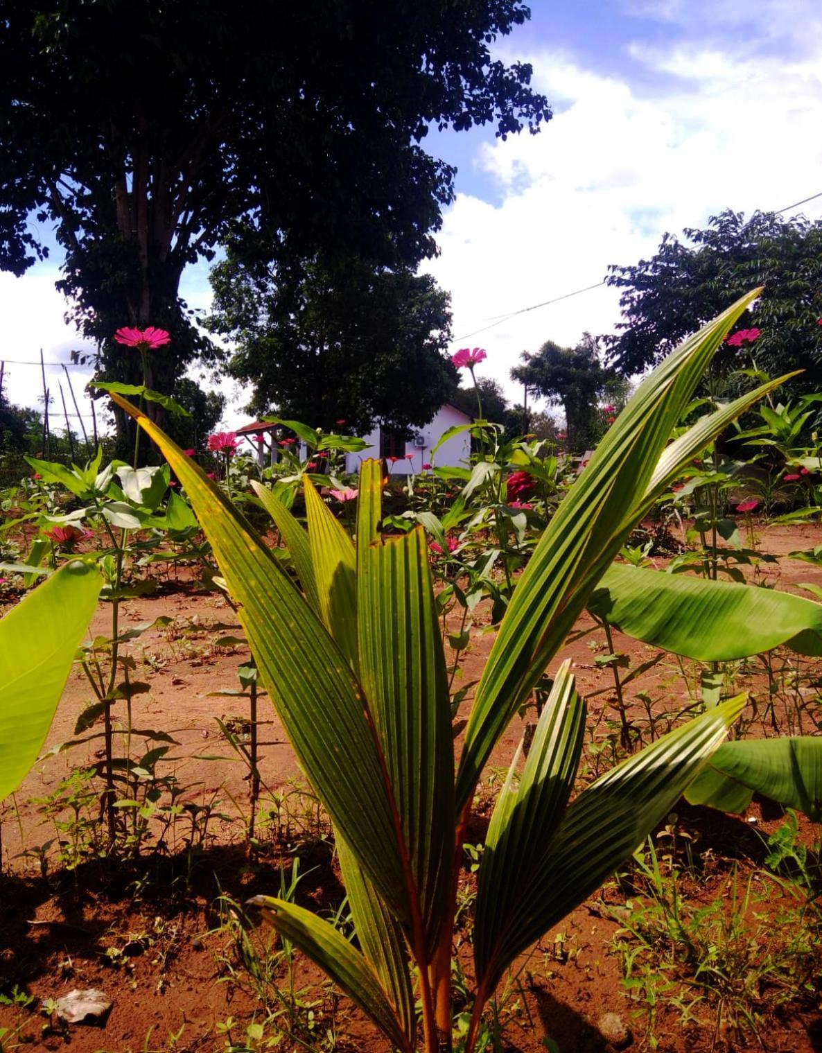 Moni Farm House Wilpattu Nochchiyagama Exterior photo